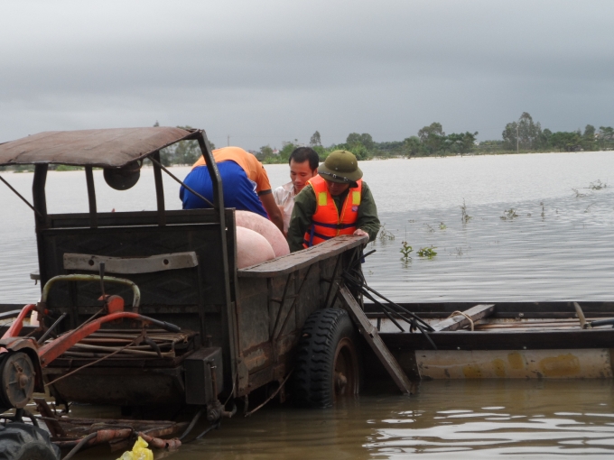 Đội cứu hộ đang t&iacute;ch cực cứu t&agrave;i sản của người d&acirc;n.