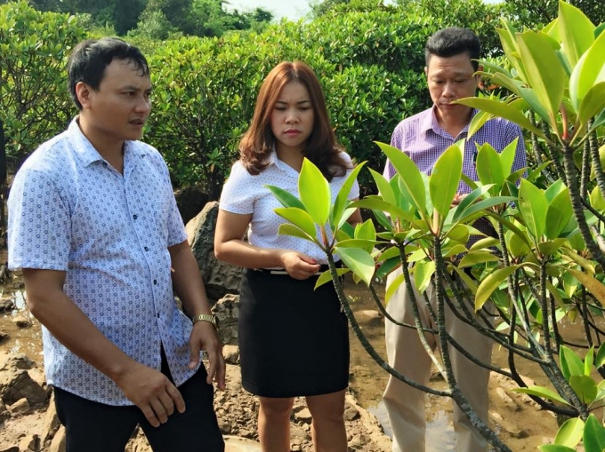 Nữ doanh nh&acirc;n L&ecirc; Thị Th&ecirc;m v&agrave; c&acirc;u chuyện quảng b&aacute; thương hiệu Quảng Ninh