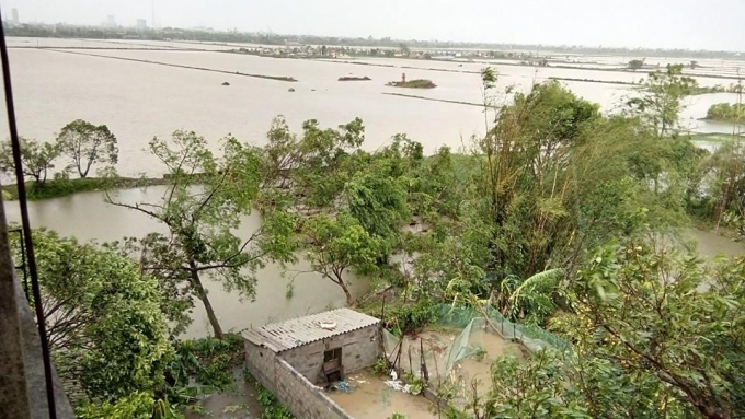 Cơn b&atilde;o số 1 đ&atilde; g&acirc;y thiệt hại nặng nề cho hai tỉnh Th&aacute;i B&igrave;nh v&agrave; Nam Định.