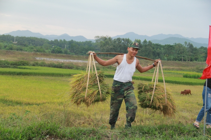 Thực hiện chỉ đạo của B&iacute; thư tỉnh ủy Quảng Ninh, kh&ocirc;ng chỉ k&ecirc;u gọi ri&ecirc;ng Bộ đội m&agrave; tất cả c&aacute;c&nbsp;doanh nghiệp c&oacute; c&ocirc;ng nh&acirc;n l&agrave; con em v&ugrave;ng n&ocirc;ng th&ocirc;n đều ưu ti&ecirc;n bố tr&iacute; cho c&aacute;c c&ocirc;ng nh&acirc;n n&agrave;y được nghỉ để về nh&agrave; hỗ trợ gặt l&uacute;a.