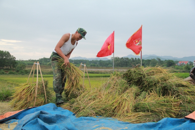Đến chiều tối ng&agrave;y 18/10, tất cả những ruộng l&uacute;a của d&acirc;n đ&atilde; được c&aacute;c ch&uacute; Bộ đội gi&uacute;p đỡ thu hoạch hết đưa về nh&agrave;, gi&uacute;p d&acirc;n an t&acirc;m đ&oacute;n b&atilde;o.