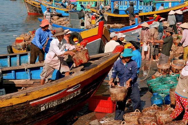 Theo đ&uacute;ng quy chuẩn truyền thống, nước mắm gồm c&aacute; v&agrave; muối. Tại c&aacute;c l&agrave;ng nghề nước mắm, c&aacute; sau khi đ&aacute;nh bắt về được c&aacute;c cơ sở sản xuất nước mắm thu mua tại ghe v&agrave; đưa về muối mắm ngay. Ảnh:&nbsp;Đ&igrave;nh H&ograve;a.