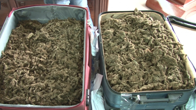 Tang vật cơ quan chức năng thu giữ