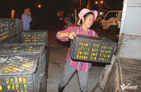 Kh&ocirc;ng chỉ k&eacute;o h&agrave;ng, họ c&ograve;n ki&ecirc;m lu&ocirc;n c&ocirc;ng việc chất từng th&ugrave;ng h&agrave;ng l&ecirc;n xe sau qu&atilde;ng đường k&eacute;o v&ocirc; c&ugrave;ng mệt nhọc.