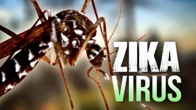 TP Hồ Ch&iacute; Minh tiếp tục ph&aacute;t hiện th&ecirc;m ca nhiễm virus Zika mới. Ảnh: minh họa