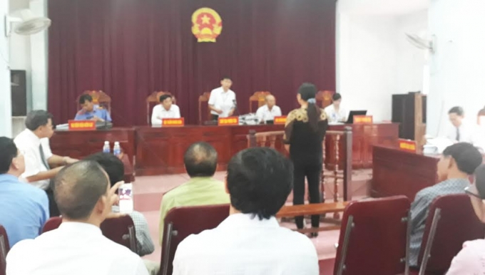 To&agrave;n cảnh phi&ecirc;n t&ograve;a.