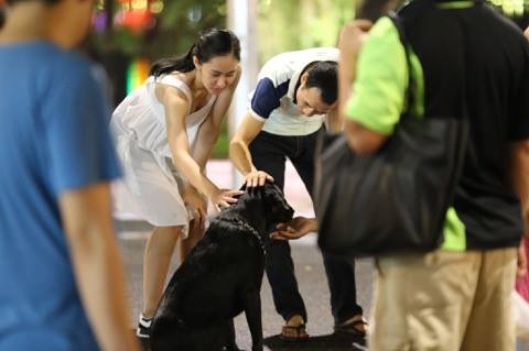 Cấm ch&oacute; to, ch&oacute; dữ kh&ocirc;ng rọ m&otilde;m đi v&agrave;o kh&ocirc;ng gian đi bộ quanh Hồ Ho&agrave;n Kiếm. (Ảnh: Thắng Nguyễn)