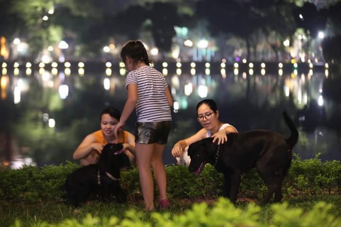 Cấm ch&oacute; kh&ocirc;ng rọ m&otilde;m v&agrave;o phố đi bộ ở H&agrave; Nội