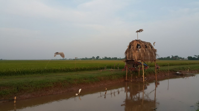 Nu&ocirc;i chim ti&ecirc;u khiển l&agrave; th&uacute; vui h&oacute;t hiện nay.
