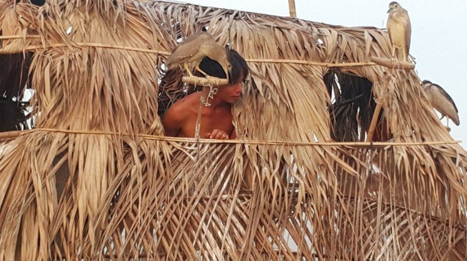 Nu&ocirc;i chim ngo&agrave;i giải tr&iacute; ch&uacute;ng c&ograve;n biết m&aacute;t xa cho chủ nh&acirc;n của n&oacute;.