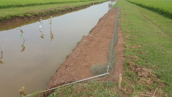 Mục đ&iacute;ch huấn luyện ch&uacute;ng l&agrave; để bắt chim trời