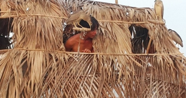 Lạ đời nuôi chim để matxa