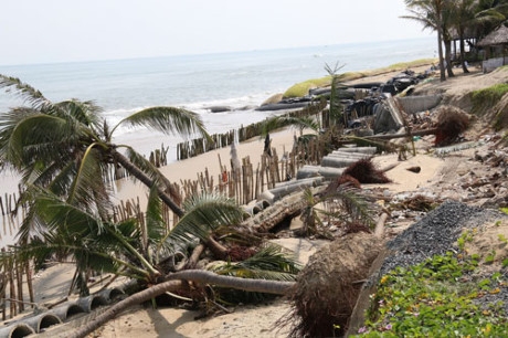 N&eacute;m tiền qua... Cửa Đại