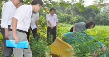 Hà Nội: Triển khai các biện pháp phòng, chống bệnh do Virus Zika