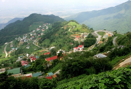 Ảnh minh họa (Nguồn: Internet).