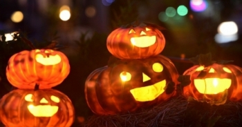 Người Sài Gòn thích thú với vườn bí ngô Halloween
