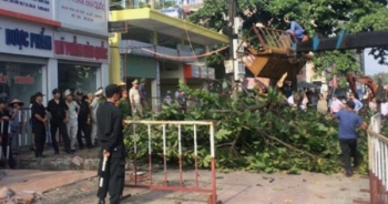 Dân kêu trời vì giá đền bù ‘đất vàng’ ở TP Hạ Long