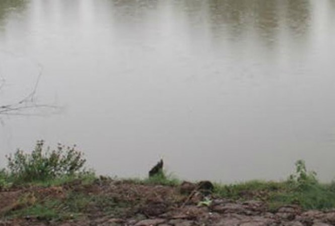 Rủ nhau đi c&acirc;u c&aacute;, sau đ&oacute; 2 đứa trẻ thi bơi v&agrave; đuối nước. (ảnh minh họa)