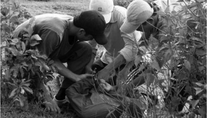 &nbsp;Ảnh minh họa.