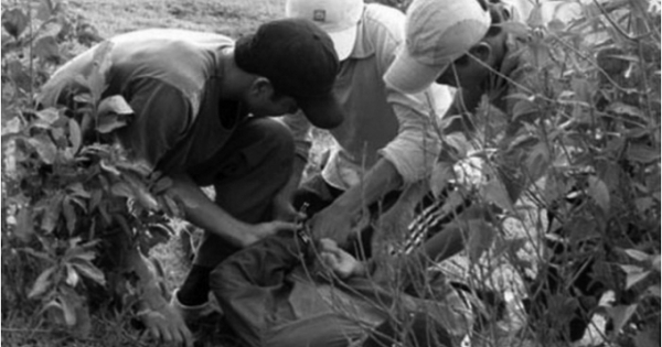 Kỳ án “bộ xương người kêu oan” ở lâm đồng: Nghi phạm "sa lưới" từ con dấu trên phong bì gửi