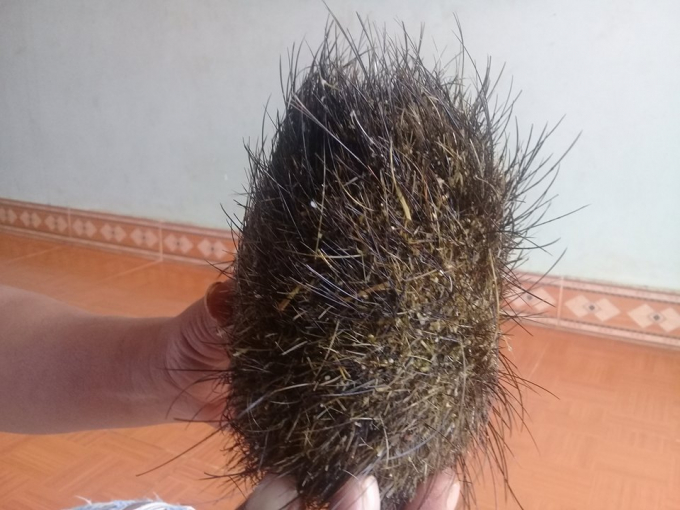 Vật thể lạ c&oacute; h&igrave;nh bầu dục, l&ocirc;ng cứng m&agrave;u bạch kim v&agrave; nặng 0.55kg