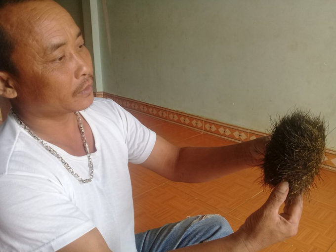 Sau khi mổ lợn hơn 2 tạ, gia đ&igrave;nh &ocirc;ng H&ugrave;ng ph&aacute;t hiện vật thể lạ giống