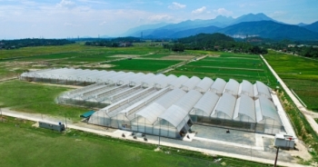 2 năm "Hành trình sạch - Thương lai xanh" của VinEco