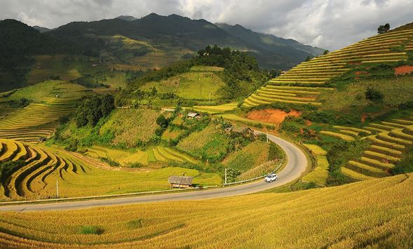 M&ugrave; Cang Chải mỗi độ thu về l&agrave; dịp cảnh đẹp nơi đ&acirc;y được t&ocirc; th&ecirc;m sắc thắm bởi xen lẫn cảnh n&uacute;i đồi cheo leo uốn kh&uacute;c lượn cong l&agrave; những ruộng bậc thang được điểm t&ocirc; bằng m&agrave;u v&agrave;ng rực rỡ của l&uacute;a ch&iacute;n với những chiếc nh&agrave; s&agrave;n của b&agrave; con v&ugrave;ng cao đ&atilde; tạo n&ecirc;n một cảnh sắc rất ri&ecirc;ng cho con người v&ugrave;ng cao T&acirc;y Bắc.