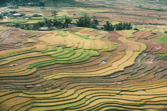 C&aacute;nh đồng Ruộng bậc thang được chụp từ tr&ecirc;n cao.