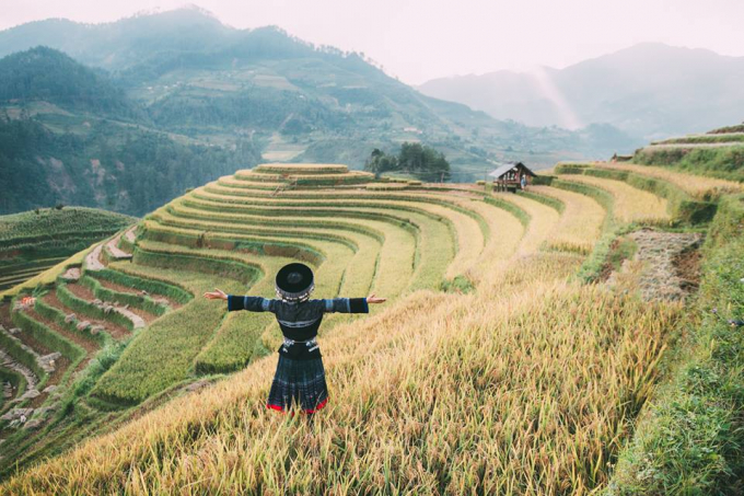 M&ugrave; Cang Chải đẹp ngất ng&acirc;y m&ugrave;a l&uacute;a ch&iacute;n