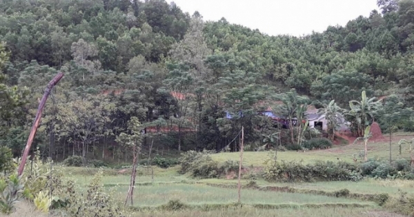 Hai bố con bị sét đánh tử vong khi đang ngủ trong nhà