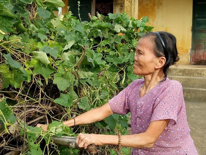 Cụ Li&ecirc;n trồng th&ecirc;m rau để cải thiện bữa ăn.