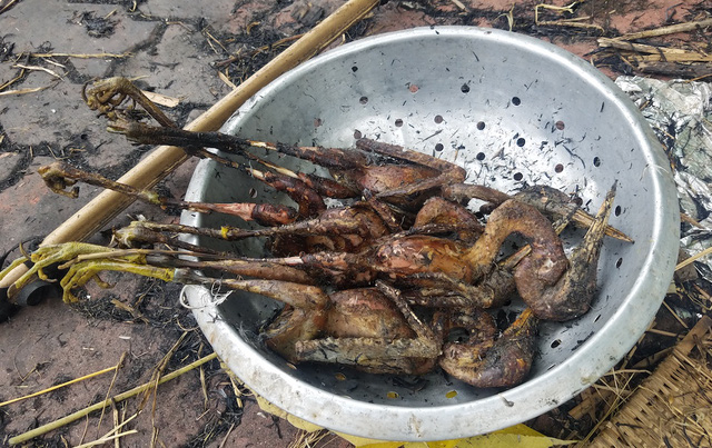 chỉ sau v&agrave;i ph&uacute;t những ch&uacute; chim n&agrave;y đ&atilde; sạch l&ocirc;ng v&agrave; được thui rơm v&agrave;ng ươm.