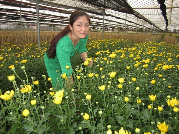 Sản xuất n&ocirc;ng nghiệp c&ocirc;ng nghệ cao cũng ph&aacute;t triển mạnh ở Sơn La giai đoạn &ocirc;ng Trương Quang Nghĩa l&agrave;m B&iacute; thư Tỉnh ủy.