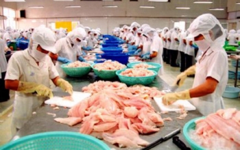 Xuất khẩu thủy sản năm 2017 dự kiến đạt 8 tỷ USD