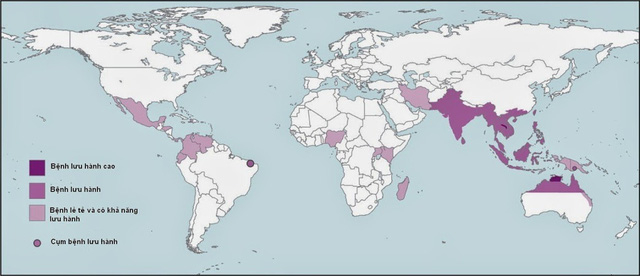 Bản đồ ph&acirc;n bố bệnh Melioidosis với sự ph&acirc;n bố bệnh cao ở Đ&ocirc;ng Nam &Aacute; v&agrave; ph&iacute;a Bắc &Uacute;c (nguồn: Bệnh viện Bệnh Nhiệt đới Trung ương)