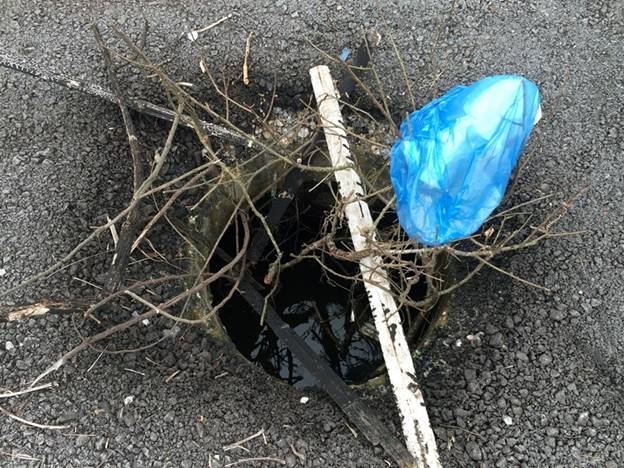 113503baoxaydung_image006