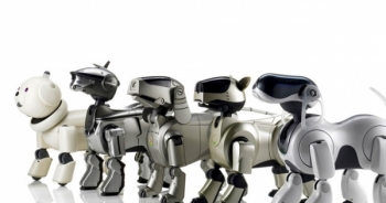 Robot thú cưng sắp sửa tràn ngập thị trường