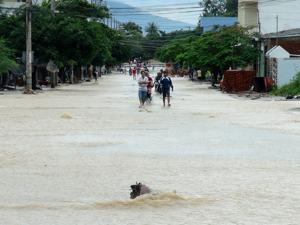 Nước lũ tr&ecirc;n c&aacute;c s&ocirc;ng đang tiếp tục l&ecirc;n nhanh, cần đề ph&ograve;ng xảy ra lũ qu&eacute;t tr&ecirc;n s&ocirc;ng. Ảnh: minh họa/Nguồn: TTXVN