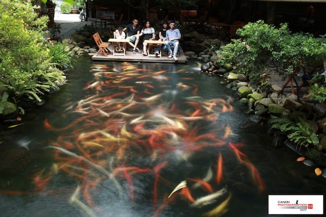 Đ&acirc;y l&agrave; những bức ảnh ấn tượng thuộc chủ đề