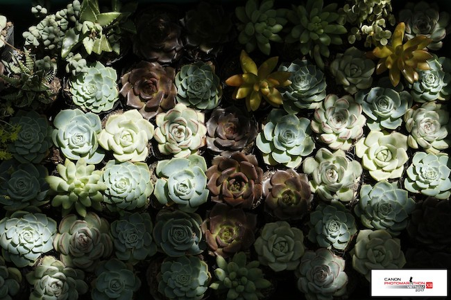 Đ&acirc;y l&agrave; những bức ảnh ấn tượng thuộc chủ đề