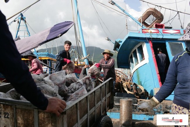 Đ&acirc;y l&agrave; những bức ảnh ấn tượng thuộc chủ đề