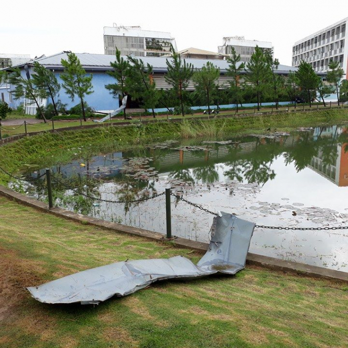 T&ocirc;n bay khắp nơi trong khu&ocirc;n vi&ecirc;n trường.