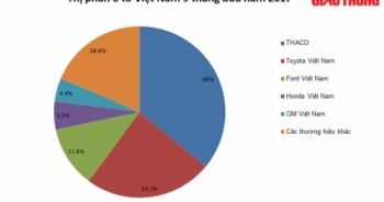Đại gia nào đang nắm giữ thị phần ô tô Việt Nam?