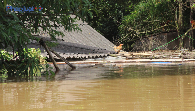 H&agrave;ng ng&agrave;n ng&ocirc;i nh&agrave; đang ch&igrave;m trong biển nước tại rốn lũ x&atilde; Thạch Định, Thạch Th&agrave;nh. (Ảnh: Anh Thắng)