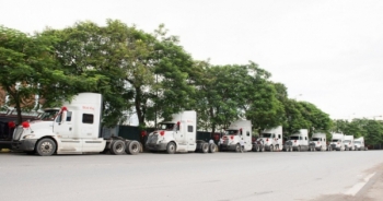 Choáng ngợp với dàn xe đầu kéo gần 10 tỷ trong đám hỏi ở Hải Phòng