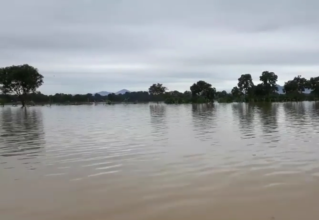 Nhiều khu vực Trại giam số 5 ngập s&acirc;u trong nước lũ.