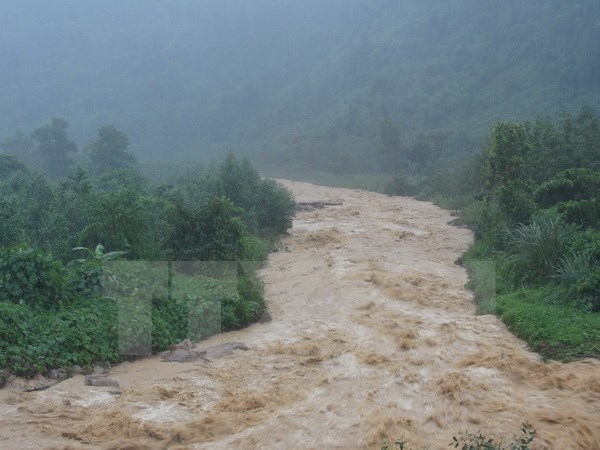 Cảnh b&aacute;o lũ tr&ecirc;n c&aacute;c s&ocirc;ng. Ảnh: minh họa/ TTXVN