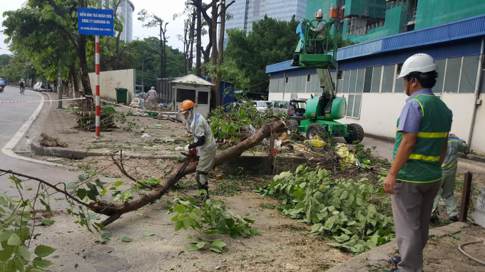 Địa ốc 24h: Cần trục th&aacute;p tại Đ&agrave; Nẵng bị dừng hoạt động h&agrave;ng loạt, giải cứu vụ 146 Qu&aacute;n Th&aacute;nh