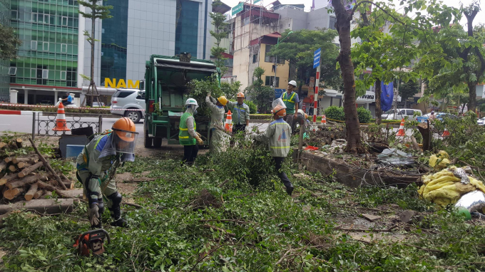 Đơn vị cắt, tỉa c&acirc;y xanh l&agrave; c&ocirc;ng ty tư vấn x&acirc;y dựng H&agrave; Th&agrave;nh đ&atilde; c&oacute; mặt từ rất sớm để thực hiện c&ocirc;ng việc của m&igrave;nh.